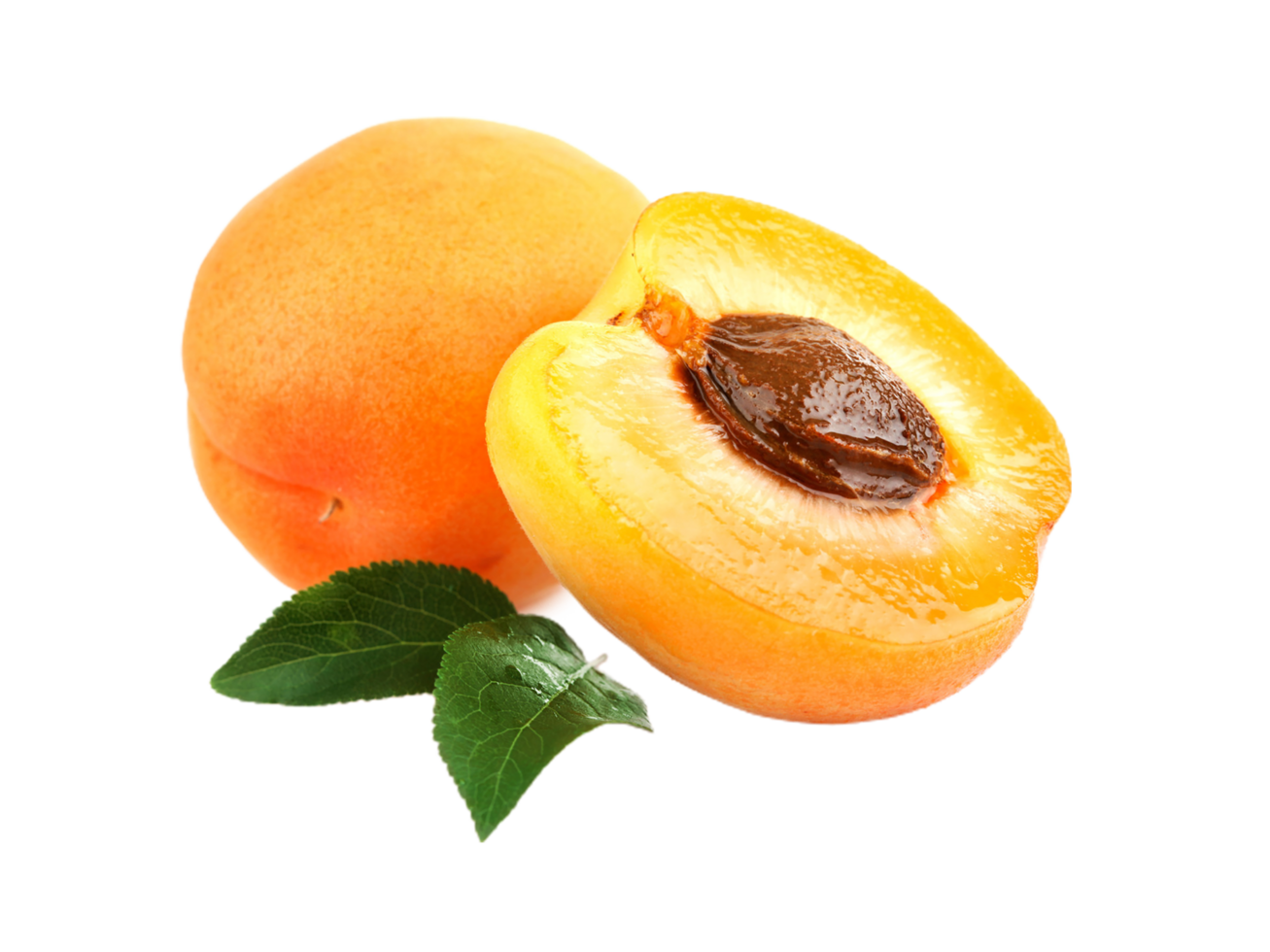 Damasco